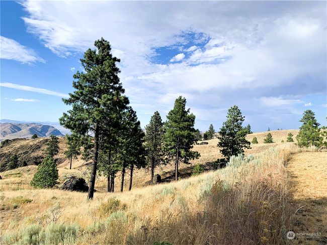 100 Pine Bluffs Ln, Home with 0 bedrooms, 0 bathrooms and null parking in Waterville WA | Image 23