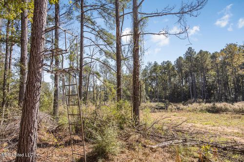 0000 Highway 33, Centreville, MS, 39631 | Card Image