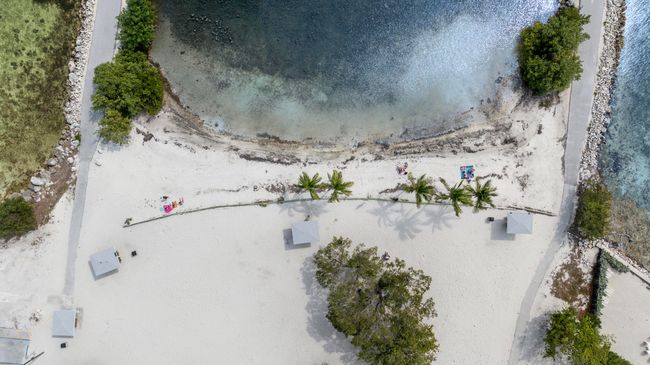 DJI_20250220120709_0127_D | Image 26