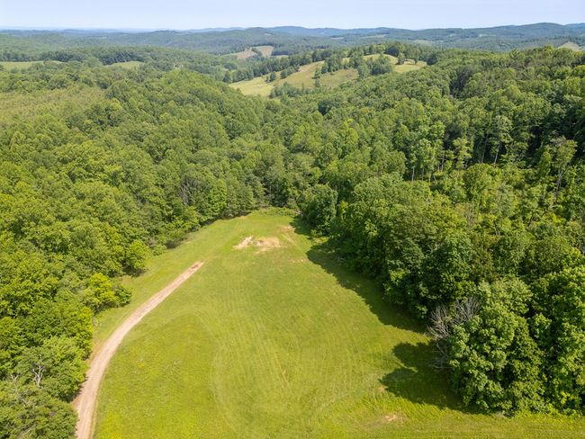688 Gibson Knob Rd, Home with 0 bedrooms, 0 bathrooms and null parking in Laurel Fork VA | Image 41