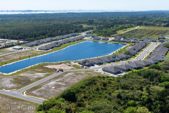 Island Forest Preserve Community Layout | Image 25