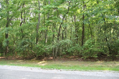 0 Chestnut Hollow Trl, McMinnville, TN, 37110 | Card Image