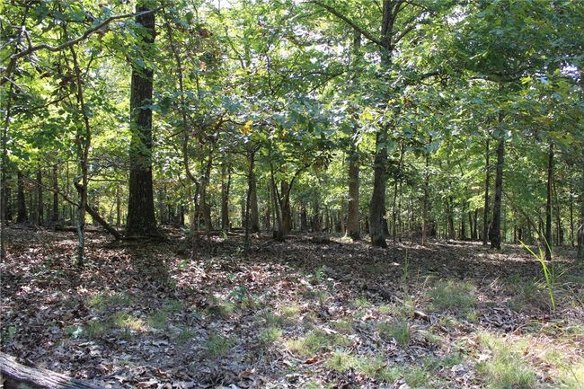 2231 Shady Ridge Road, Home with 0 bedrooms, 0 bathrooms and null parking in Kansas OK | Image 11