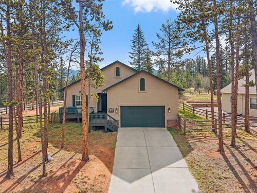1101 Ptarmigan Dr, Woodland Park, CO, 80863-8004 | Card Image