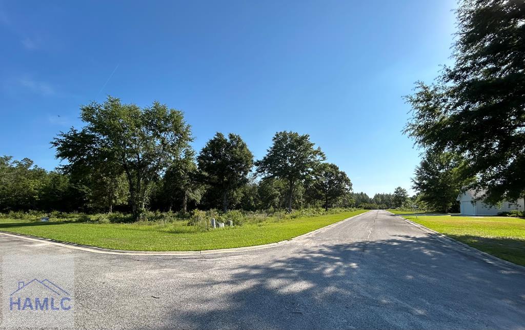 Land in Jesup