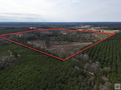 TBD Cr 2229, Atlanta, TX, 75551 | Card Image