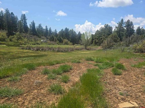 634 Cactus Dr, Pagosa Springs, CO, 81147 | Card Image