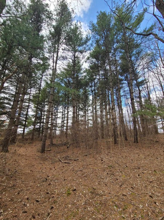 N5665 Dunning Rd, House other with 3 bedrooms, 2 bathrooms and null parking in Pardeeville WI | Image 52