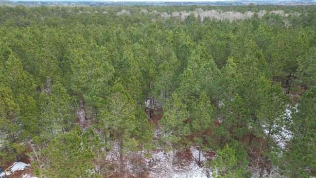 Drone / aerial view | Image 6