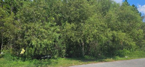 905 Ne 6th St, Carrabelle, FL, 32322 | Card Image