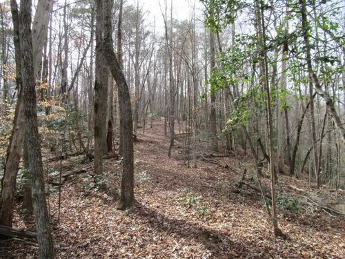 00 Long Branch Rd, Dahlonega, GA, 30533 | Card Image