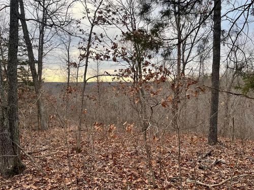 0 125.87ac Tract A-2 Clear Creek Road, Richwoods, MO, 63071 | Card Image