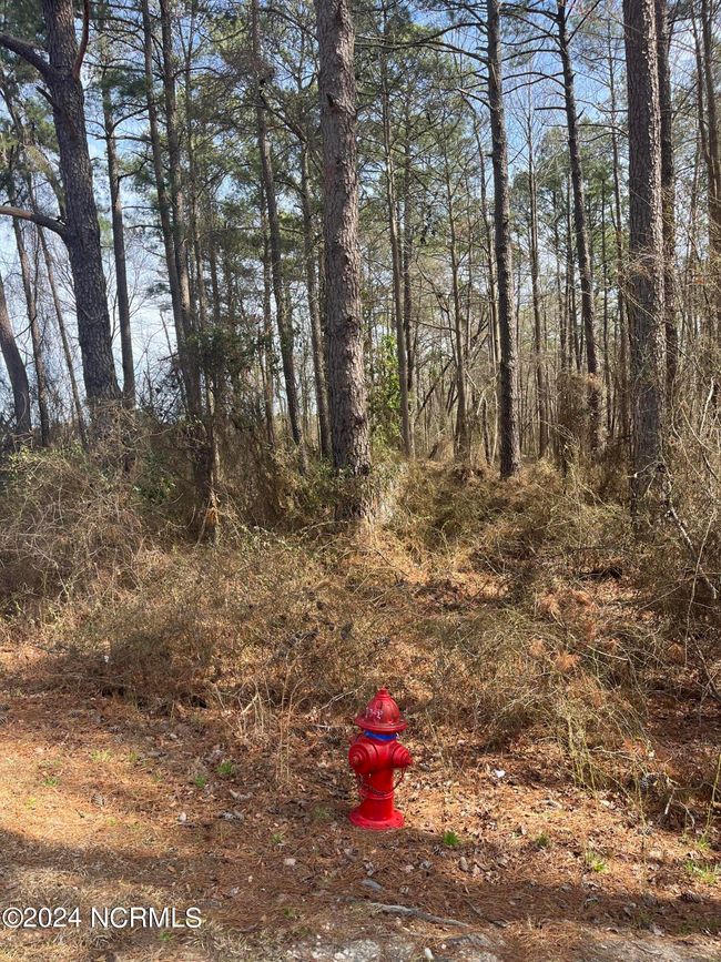00 Us Highway 15 501, Home with 0 bedrooms, 0 bathrooms and null parking in Pinehurst NC | Image 8