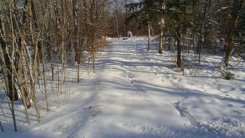 36 Ladd Road, Sebec, ME, 04481 | Card Image