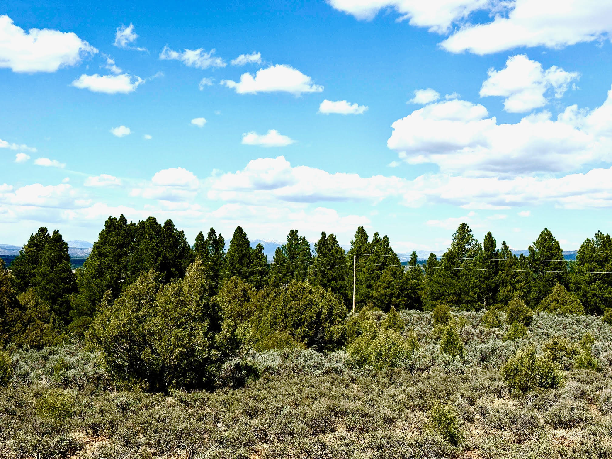 Land in Chama 5