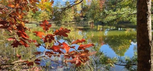 515 Wilderness Way, Dunlap, TN, 37327 | Card Image