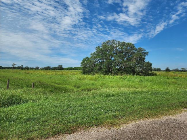 16410 Majestic Oaks Dr, Home with 0 bedrooms, 0 bathrooms and null parking in Rosharon TX | Image 4