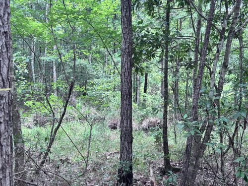 00 Lars Road (Lot 36), Lumberton, MS, 39455 | Card Image