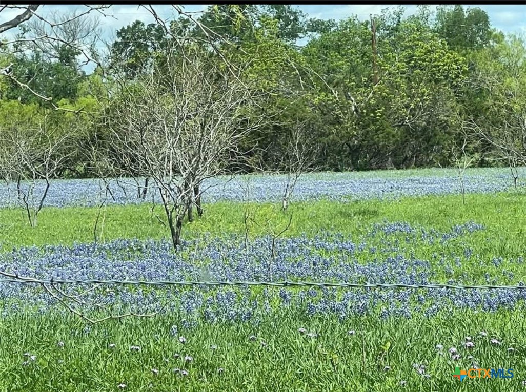 Kellogg Rd, Copperas Cove, TX 76522