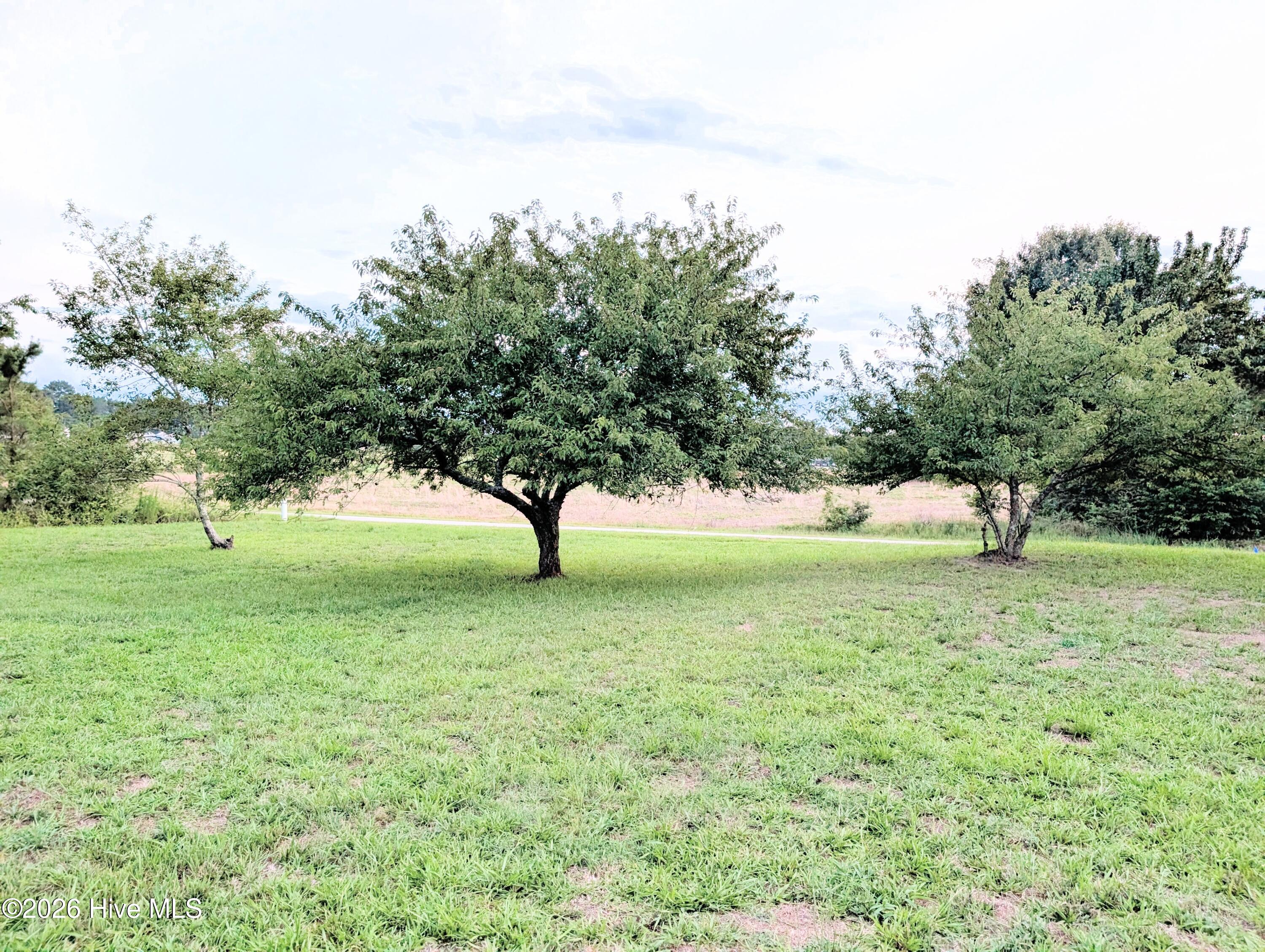 Land in Enfield 3