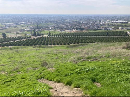 1465 N Highland Dr, Porterville, CA, 93257-1205 | Card Image