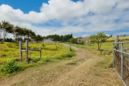 35-2080 Papaaloa Pl, Laupahoehoe, HI, 96764 | Card Image
