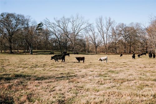 0 Ralph Bridges Rd, Lexington, GA, 30648 | Card Image