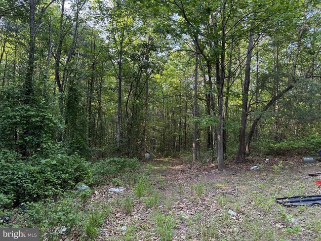 1337 Shanghai Rd, Home with 0 bedrooms, 0 bathrooms and null parking in BERKELEY SPRINGS WV | Image 13