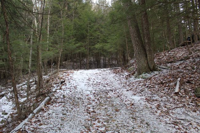 LOT-17 - 000 Wetherbee Farm Rd, Home with 0 bedrooms, 0 bathrooms and null parking in Lisbon NH | Image 17