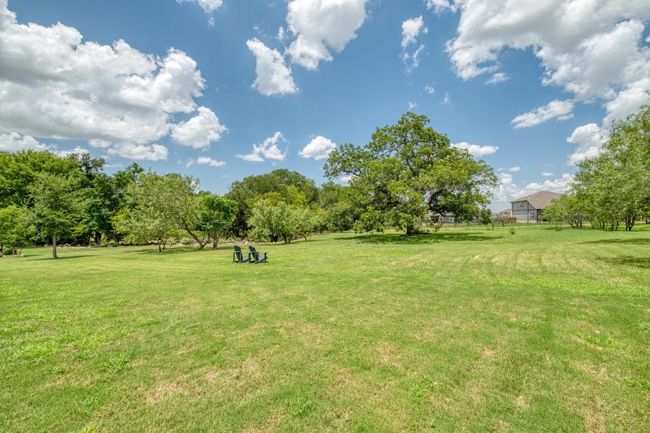 View of green lawn | Image 29