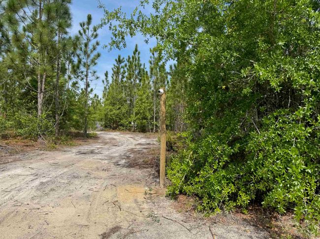 1698 Carriage Dr, Home with 0 bedrooms, 0 bathrooms and null parking in Loris SC | Image 4