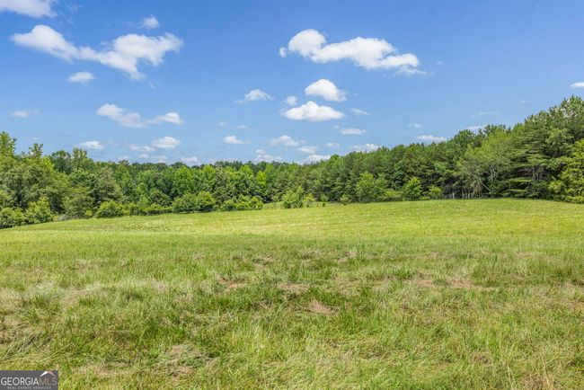 177 E Silver Shoals Rd, House other with 3 bedrooms, 2 bathrooms and null parking in Toccoa GA | Image 40