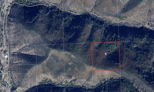 40 Cline Gulch Rd, French Gulch, CA, 96033 | Card Image