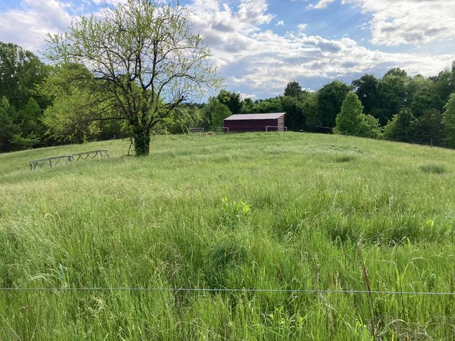 265 - 24265 S Mohawk Rd, Home with 0 bedrooms, 0 bathrooms and null parking in Mohawk TN | Image 11