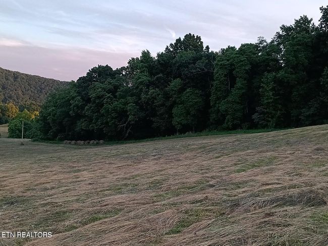 170 Ball Ridge Rd, Home with 0 bedrooms, 0 bathrooms and null parking in Cumberland Gap TN | Image 15