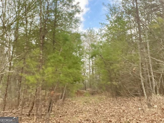 0 Mountain Ridge Dr, Home with 0 bedrooms, 0 bathrooms and null parking in Dahlonega GA | Image 16