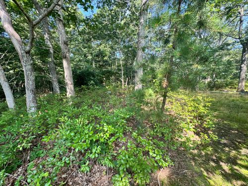 7 Highland Avenue, Vineyard Haven, MA, 02568 | Card Image