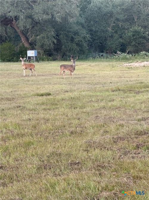 7121 County Road 125, Hallettsville, TX, 77964-5580 | Card Image