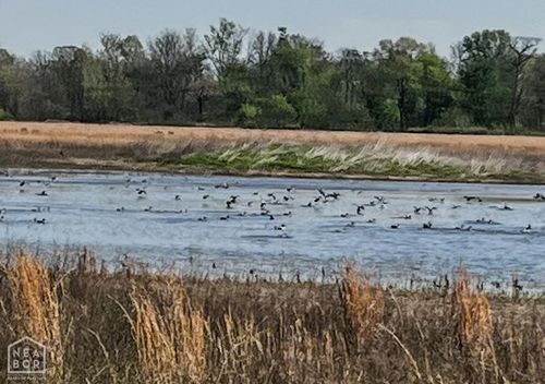 1962 Upper Lockhart Rd, Cord, AR, 72524 | Card Image