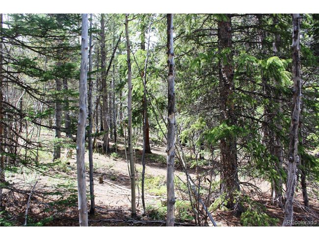 435 Aspen Rd, Home with 0 bedrooms, 0 bathrooms and null parking in Black Hawk CO | Image 19