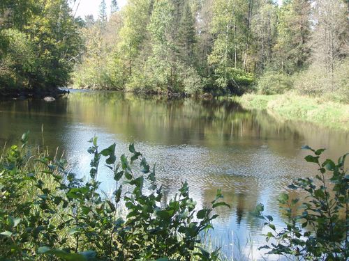 N15671 Evergreen Dr, Park Falls, WI, 54552-7657 | Card Image