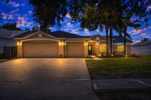 10313 Tarragon Dr, RIVERVIEW, FL, 33569-4158 | Card Image