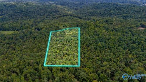 15 acres Fishtrap Rd, Grant, AL, 35747 | Card Image