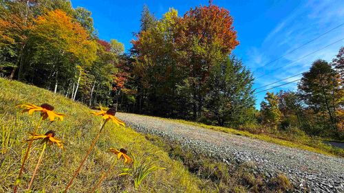 626 Beach Rd, Elmore, VT, 05661 | Card Image