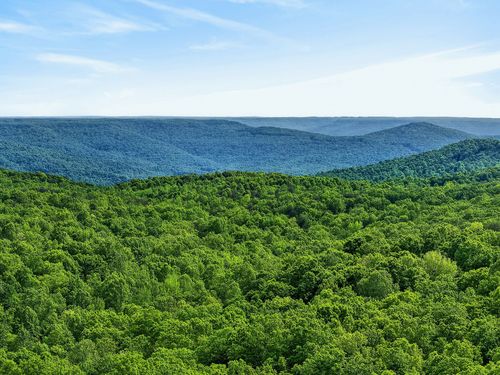 0 Harrison Ferry Rd, McMinnville, TN, 37110 | Card Image