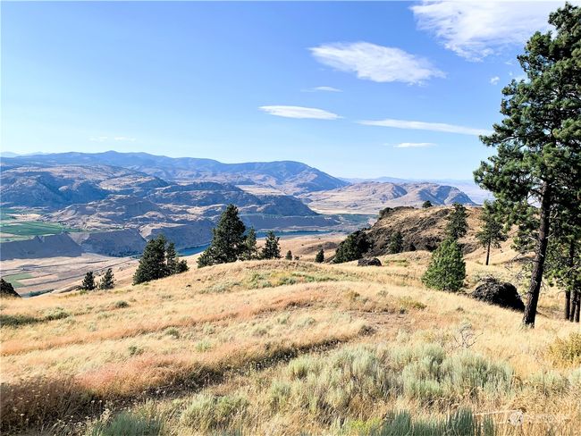 100 Pine Bluffs Ln, Home with 0 bedrooms, 0 bathrooms and null parking in Waterville WA | Image 25