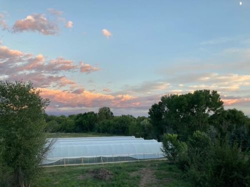 183 County Road 41, Alcalde, NM, 87511-8818 | Card Image