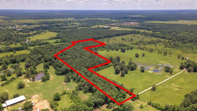 00 Lloyd Fregia Road, Home with 0 bedrooms, 0 bathrooms and null parking in Batson TX | Image 20