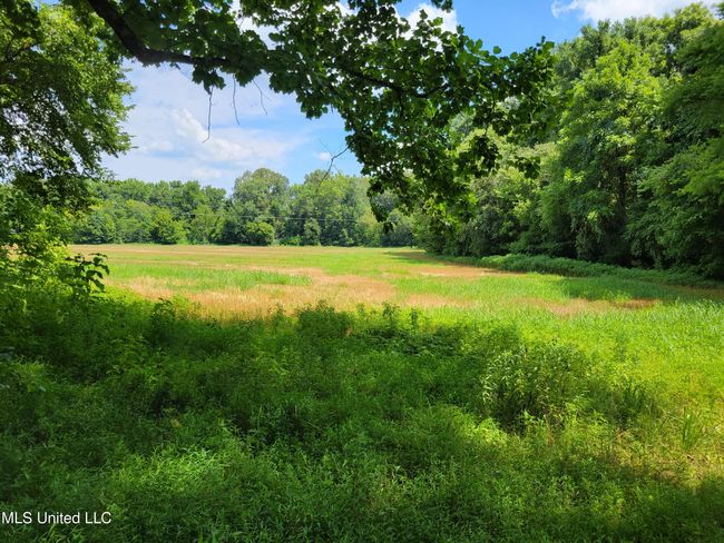 field hogan pic | Image 5