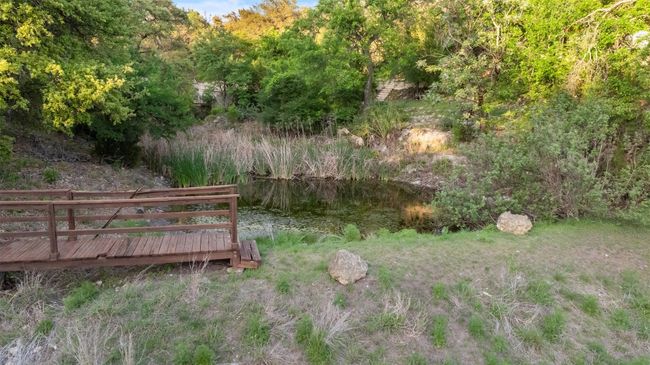 Natural spring and bridge | Image 39